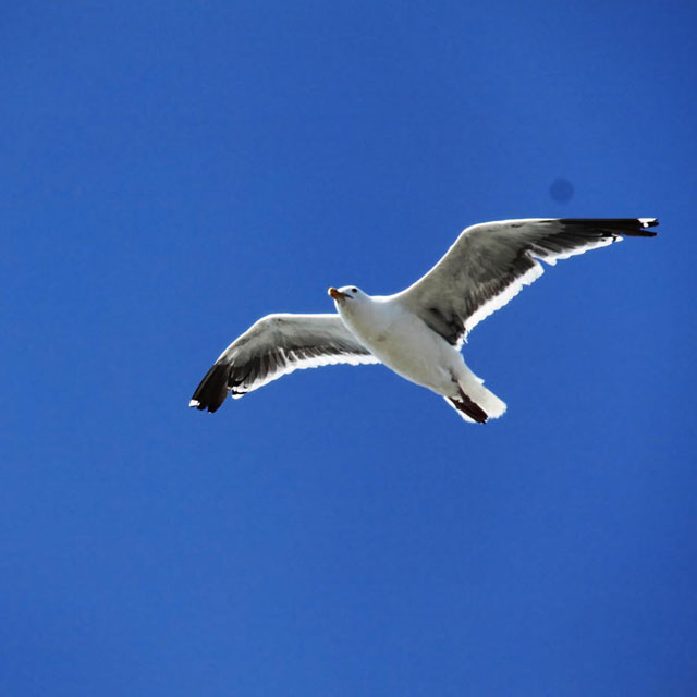 image12